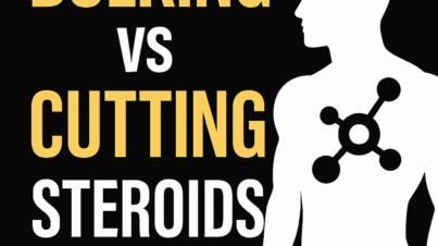 bulking vs cutting steroids