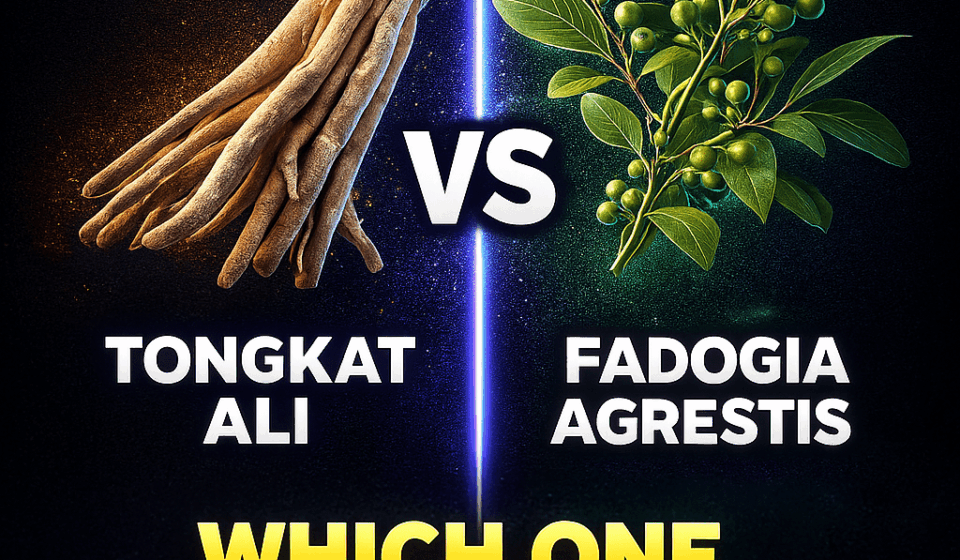 Tongkat Ali vs Fadogia Agrestis